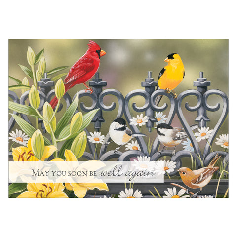 Boxed Card Get Well card.