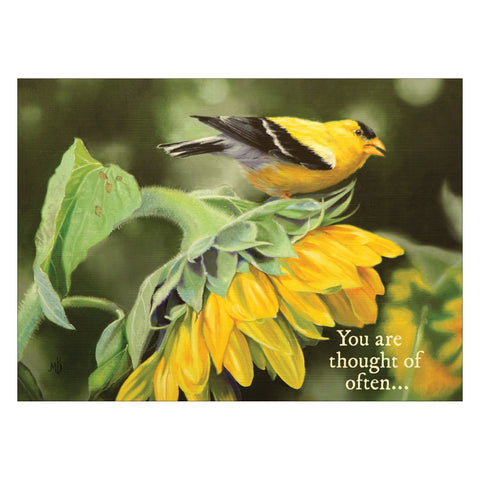 Greeting card.