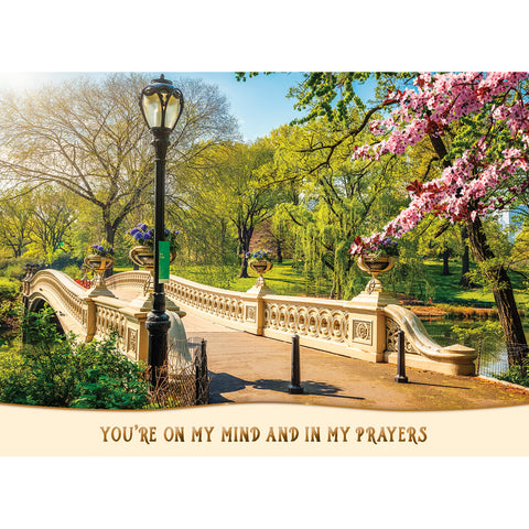 Boxed Cards Thinking of You Assortment SBEG22287