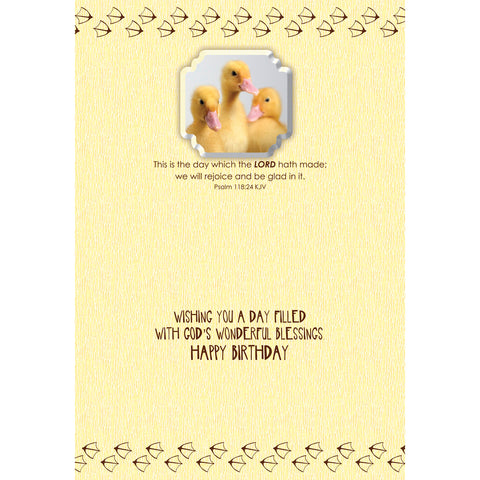 Boxed Cards Birthday Assortment SBEG22291