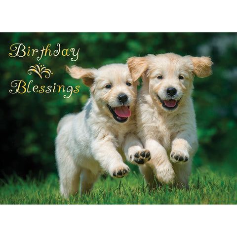 Boxed Cards Birthday Assortment SBEG22291