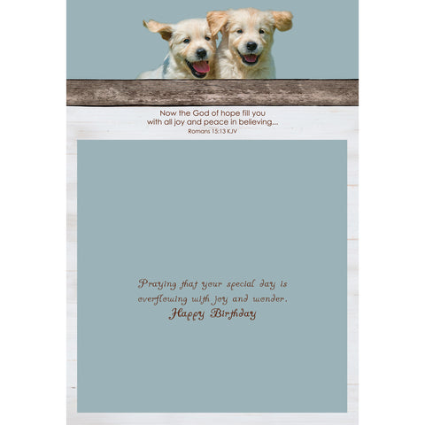 Boxed Cards Birthday Assortment SBEG22291