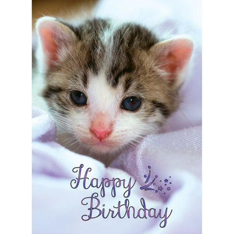 Boxed Cards Birthday Assortment SBEG22291
