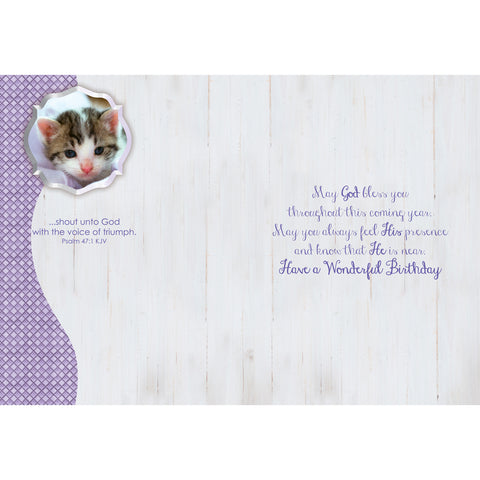 Boxed Cards Birthday Assortment SBEG22291