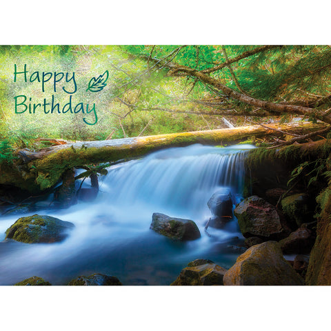 Boxed Cards Birthday Assortment SBEG22292