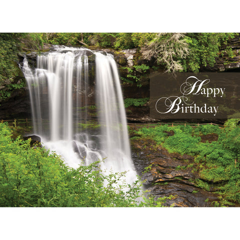 Boxed Cards Birthday Assortment SBEG22292