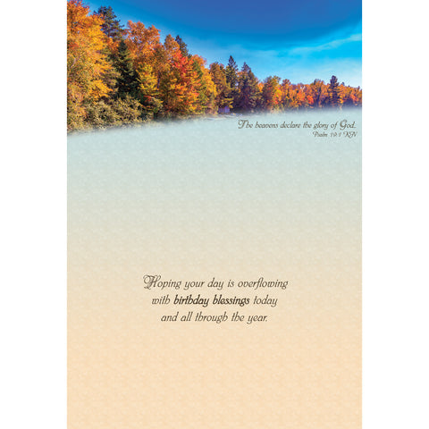 Boxed Cards Birthday Assortment SBEG22292