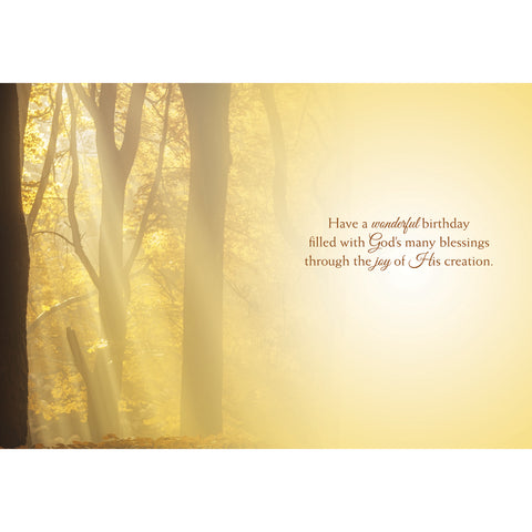 Rays of Light Birthday Boxed Cards SBEG22358