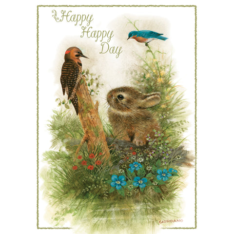 Wee Wildlife Birthday Boxed Cards SBEG22362