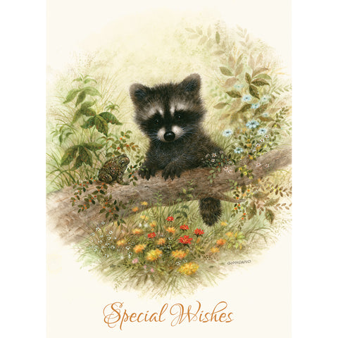 Wee Wildlife Birthday Boxed Cards SBEG22362