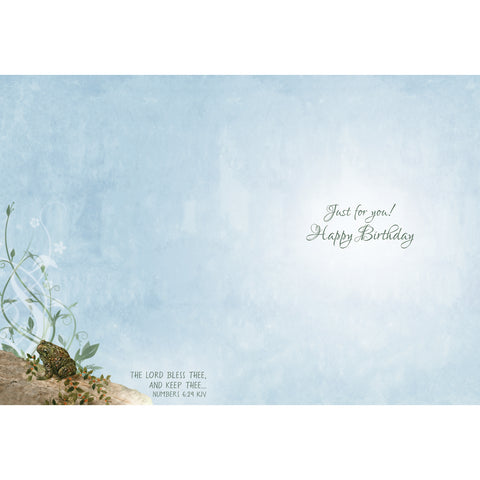 Wee Wildlife Birthday Boxed Cards SBEG22362