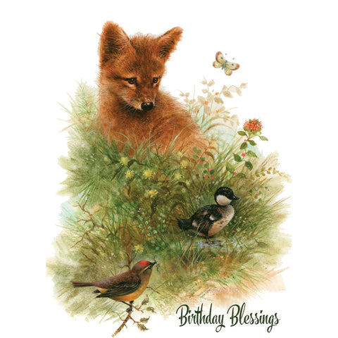Wee Wildlife Birthday Boxed Cards SBEG22362