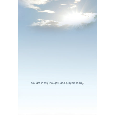 Praying for You Waterfalls Boxed Cards SBEG22364