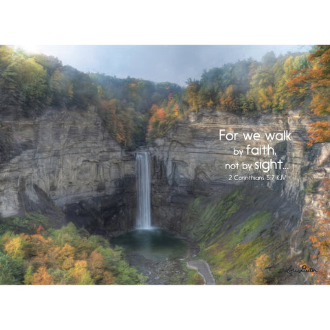 Praying for You Waterfalls Boxed Cards SBEG22364