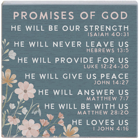 Promises of God Small Talk Square STS2284