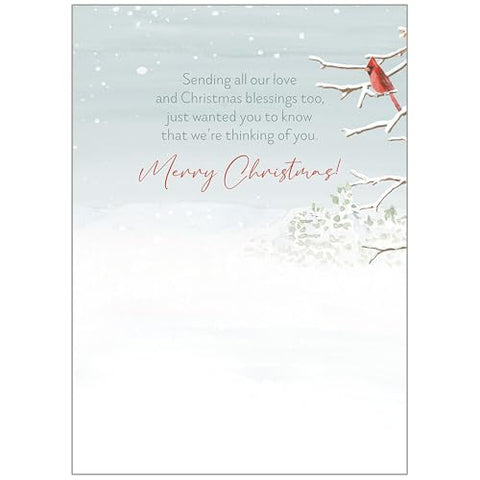 Snowman by Birdhouse Boxed Christmas Cards 107685