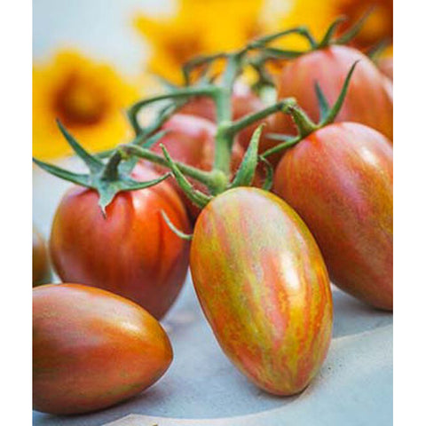 Tomatoes