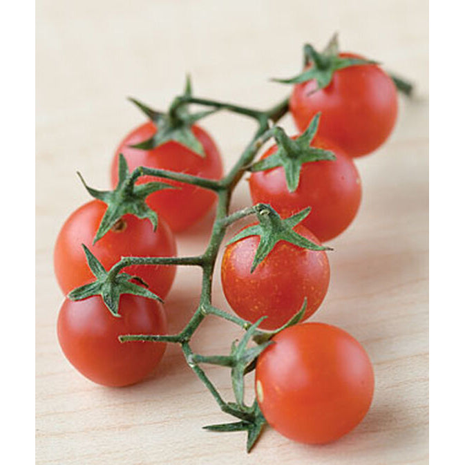 Red currant tomatoes