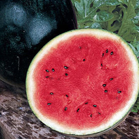 Sugar Baby watermelons