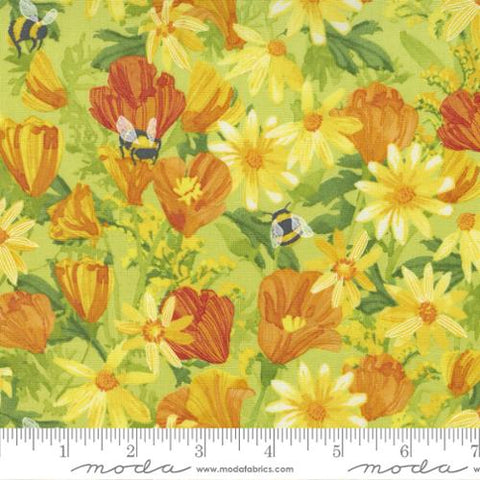 Wild Blossoms Collection Daisies and Poppies Cotton Fabric 48731 sunlit