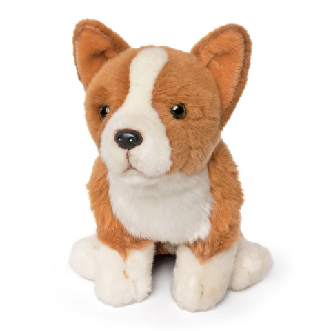 Corgi AN640