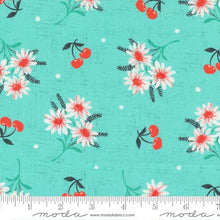 Julia Collection Cherry Daisy Cotton Fabric 11922 aqua