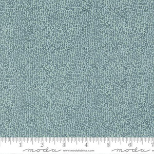 Vintage Collection Numbers Cotton Fabric 55656 aqua
