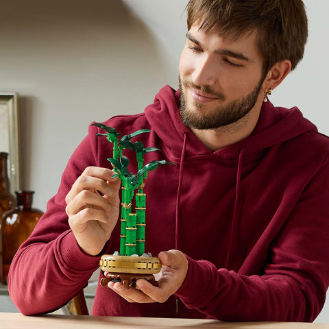 lifestyle, LEGO Botanicals Lucky Bamboo Building Set 10344