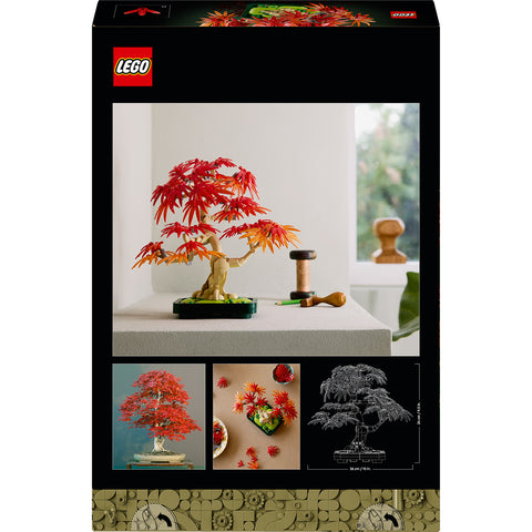 back, LEGO Botanicals Japanese Red Maple Bonsai Tree 10348