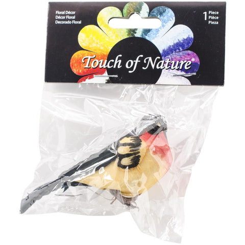 Bird in package