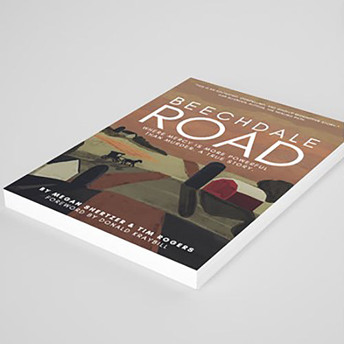 Paperback Version of Beechdale Road Laying on an Angle