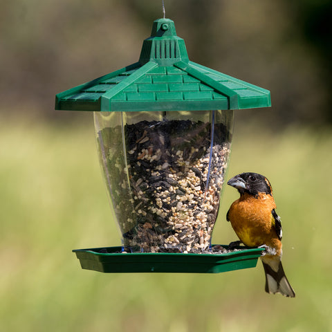 Chalet Bird Feeder HF950