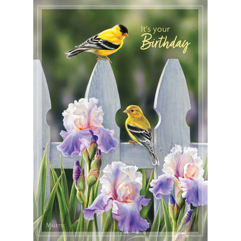 Backyard Beauties Birthday Card