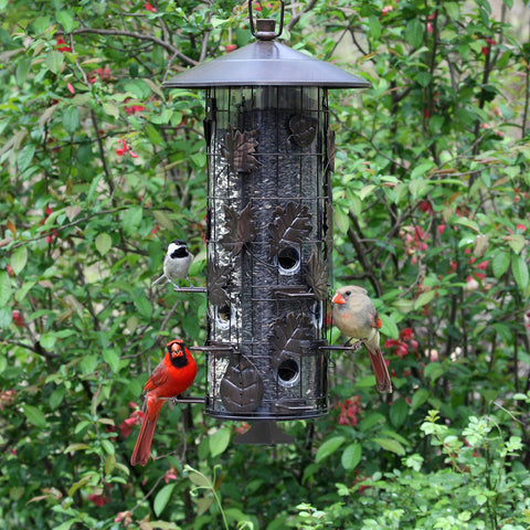 Squirrel-B-Gone Bird Feeder 337