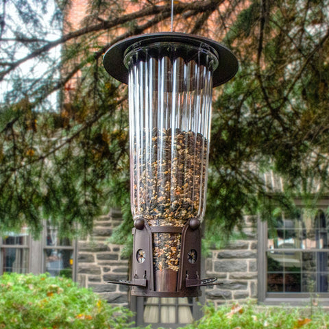 Squirrel Be Gone Max Bird Feeder 334