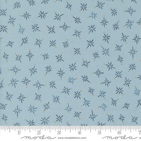 Longshore Collection Compass Cotton Fabric 24614 blue