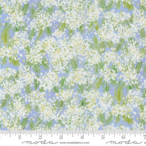 blue, Sweet Cecily Collection Queen Anne Floral Cotton Fabric 24642