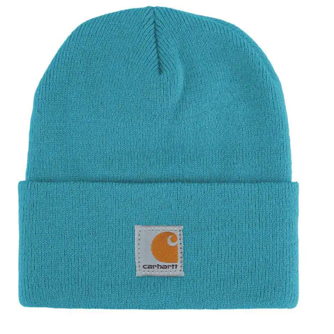 Blue Moon Carhartt beanie