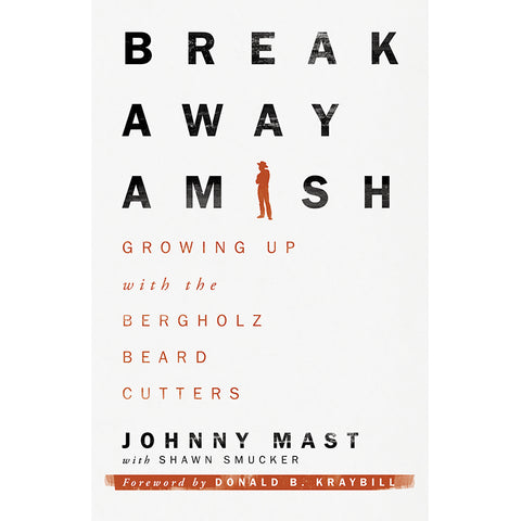 Breakaway Amish book
