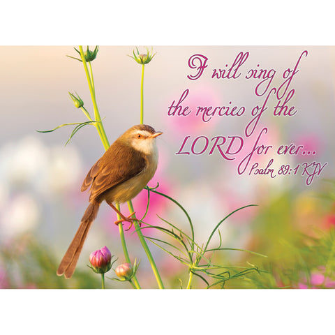 FT boxed greeting card birthday songbird