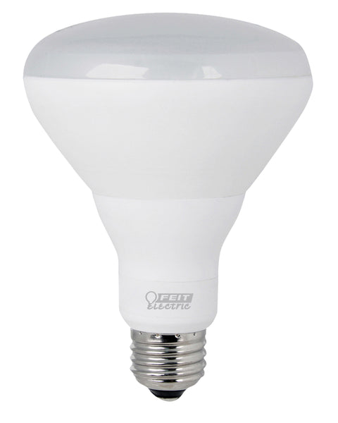 Feit LED bulb.