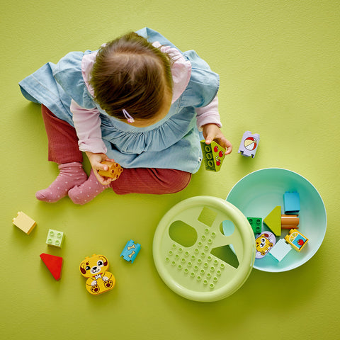 child building, LEGO Duplo My First Shape Sorter: Puppy House 10441