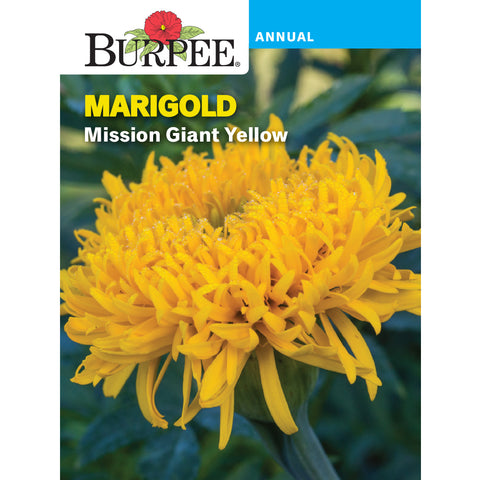 Mission Giant Marigold flower seed pack