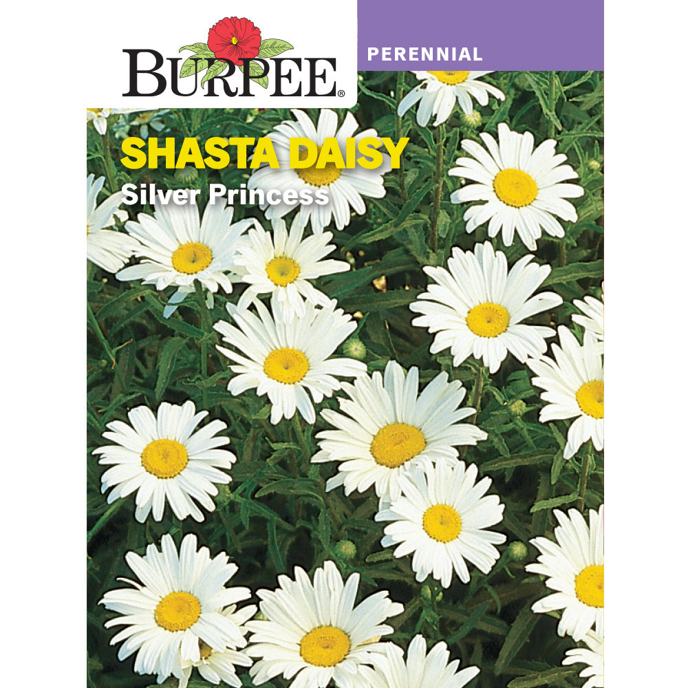 burpee plant seeds Burpee Silver Princess Shasta Daisy Seed Pack 30734 – Good's Store Online