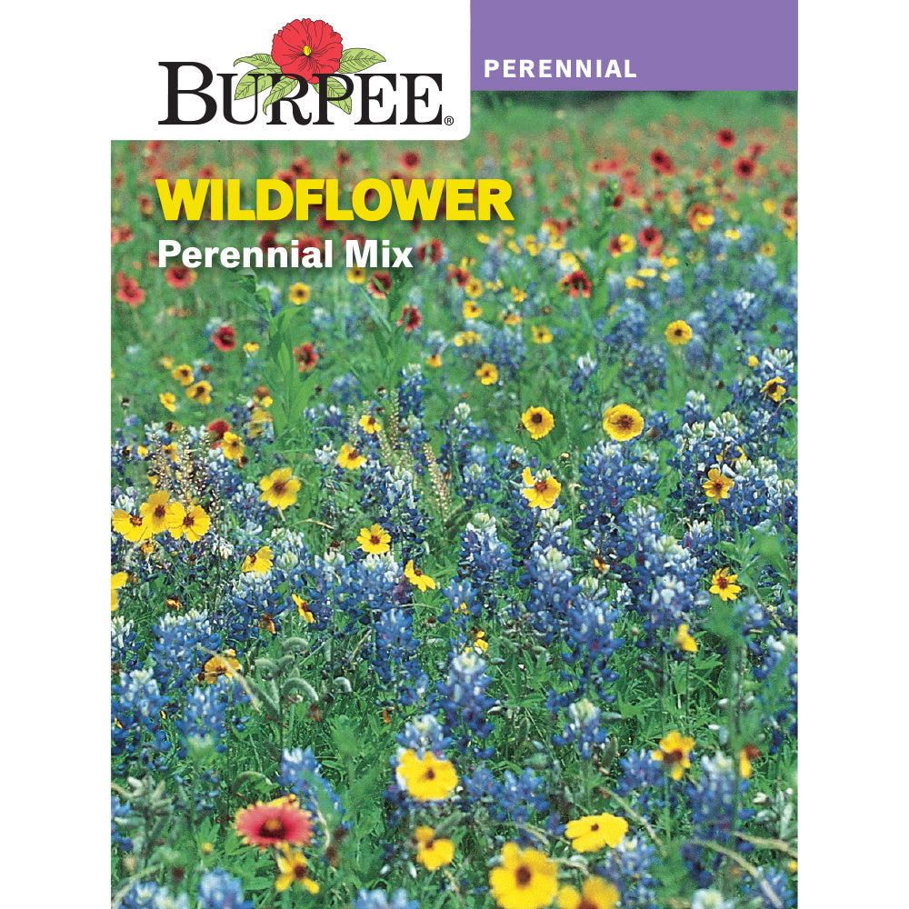 burpee garden seeds Burpee Wildflower Perennial Mix Seed Pack 31922 – Good's Store Online