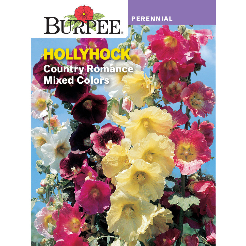 hollyhock flower seeds Burpee Country Romance Hollyhock Flower Seed Pack 32037 – Good's Store Online