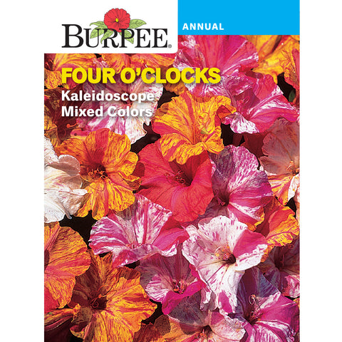Four O'clock flower seed pack