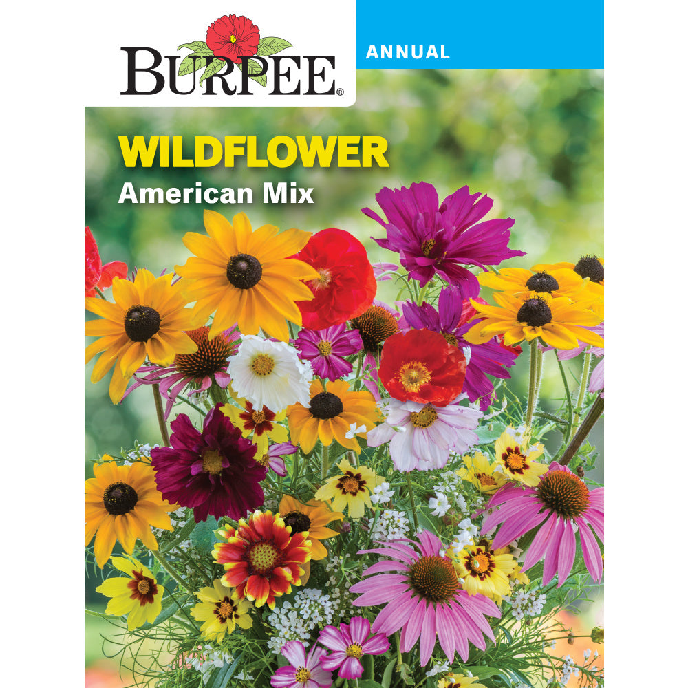 american plant seeds Burpee American Wildflower Seed Pack 38455 – Good's Store Online