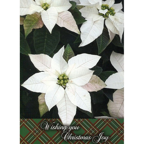 card 3 outside