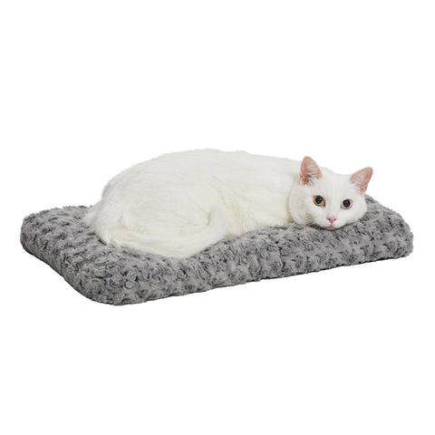 Cat on pet bed